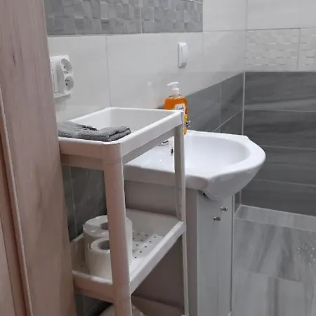 公寓 Wiesia2 扎科帕内