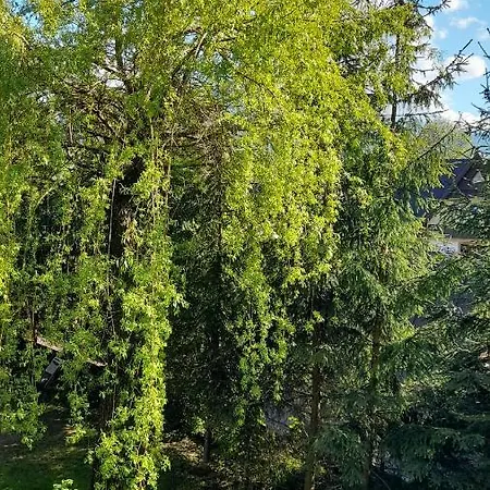 Appartement Wiesia2 *